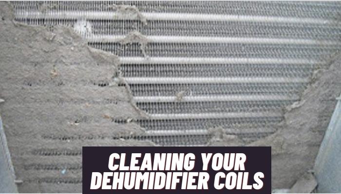 Cleaning Your Dehumidifier Coils
