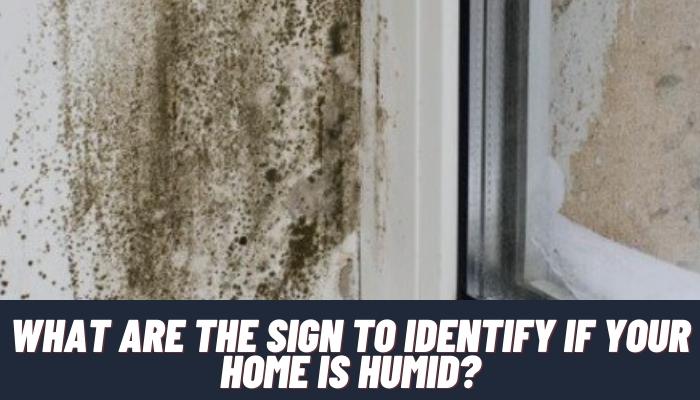 What Are The sign to identify if your home is humid_