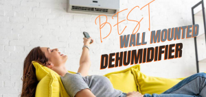 Best Wall Mounted Dehumidifier