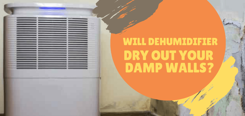 Will Dehumidifier Dry out Your Damp Walls