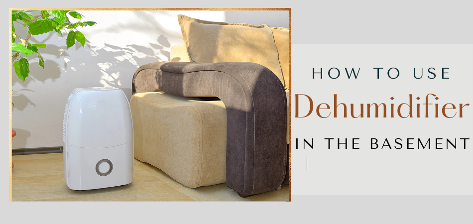 How To Use A Dehumidifier In The Basement
