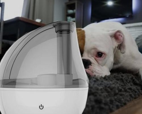 What Positive Effects Does A Humidifier Have On A Dog