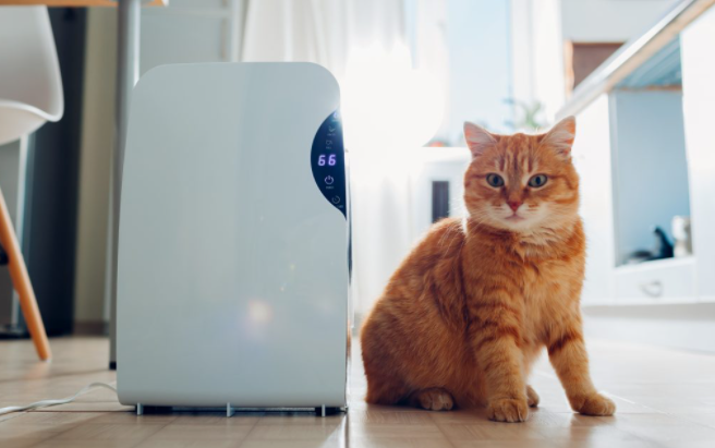 Can I use the water from my dehumidifier for my pets