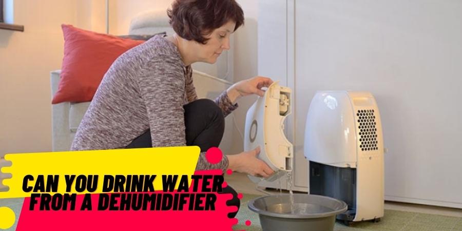 Can You Drink Water from a Dehumidifier