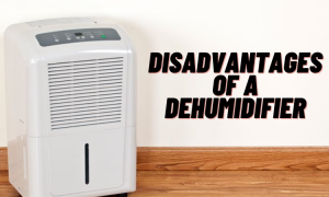 Disadvantages Of A Dehumidifier