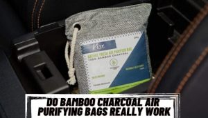 Do Bamboo Charcoal Air Purifying Bags Really Work