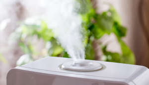 What Are Humidifiers And Mold