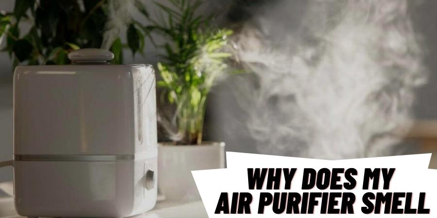 Why Does My Air Purifier Smell