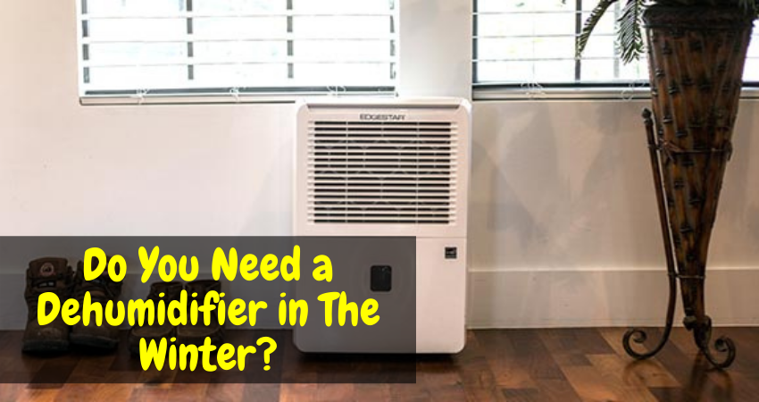 Do You Need a Dehumidifier in The Winter