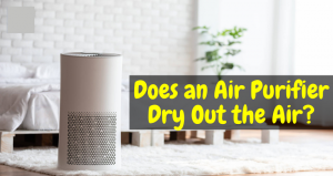 Does an Air Purifier Dry Out the Air