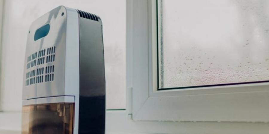 Advantages of Using A Dehumidifier In Winter