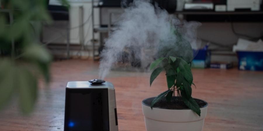 Risks Associated With Humidifier