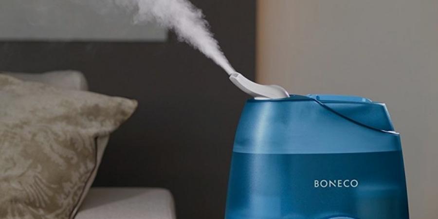 What Type of Humidifier Is Good For Summer Use